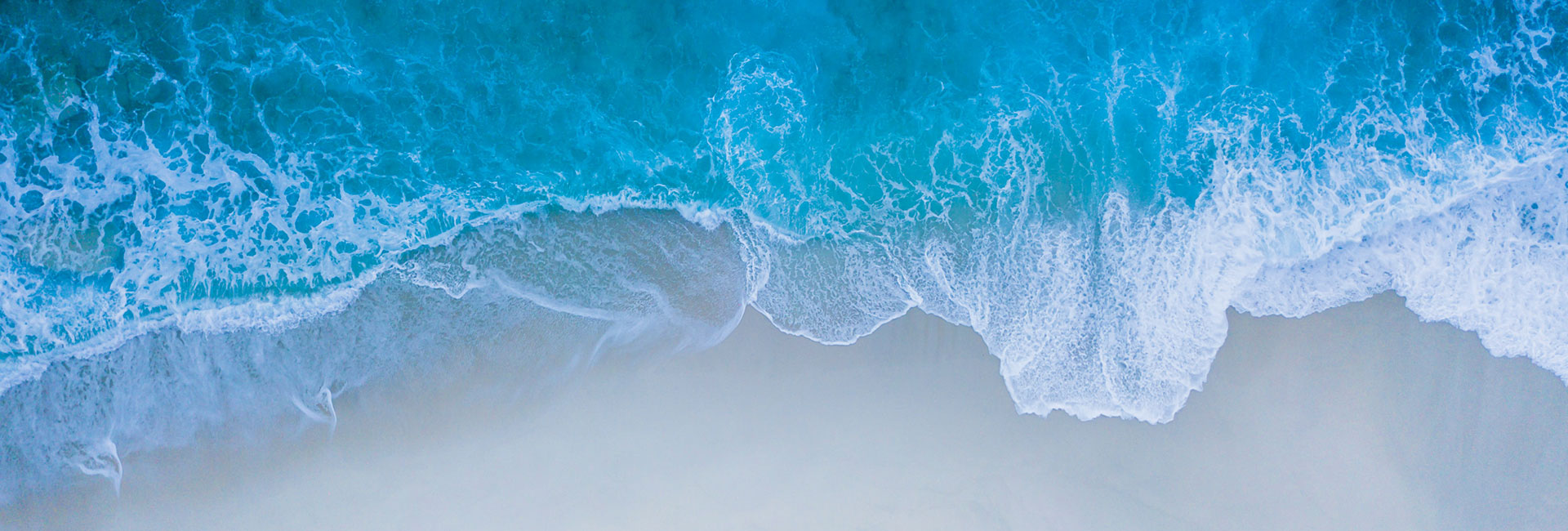 wbss-slider-nattu-adnan-unsplash